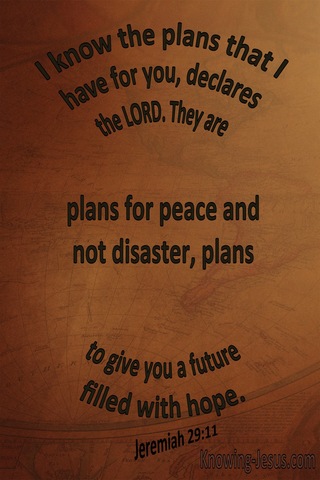 Jeremiah 29:11 The Plans I Have For You (brown)